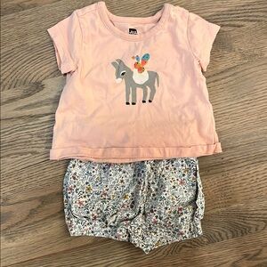 Tea Collection Set with Donkey Design